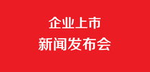 企業上市發布會與企業形象策劃 雙輪驅動，共鑄品牌新篇章